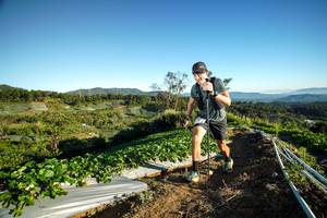 BIB: 
                            <button type="button" onclick="openModal(19110721)" class="btn btn-primary btn-sm float-right btn-popup" data-toggle="modal" data-target=".modal-high-quality">
                        <i class="fas fa-shopping-cart"></i> Add to Cart
                    </button>
                                            <button type="button" onclick="isThisMe(19110721, true)" class="btn btn-success btn-sm float-right btn-popup btn-isme hidden" data-toggle="tooltip" data-placement="bottom" title="นี่คือรูปของคุณใช่ไหม คลิกที่นี่เพื่อเอาเข้าอัลบั้ม">
                        <i class="fas fa-plus"></i> Add to album
                    </button>
                    <button type="button" onclick="isThisMe(19110721, false)" class="btn btn-warning btn-sm float-right btn-popup btn-isnotme hidden">
                        <i class="fas fa-ban"></i> Remove from album
                    </button>